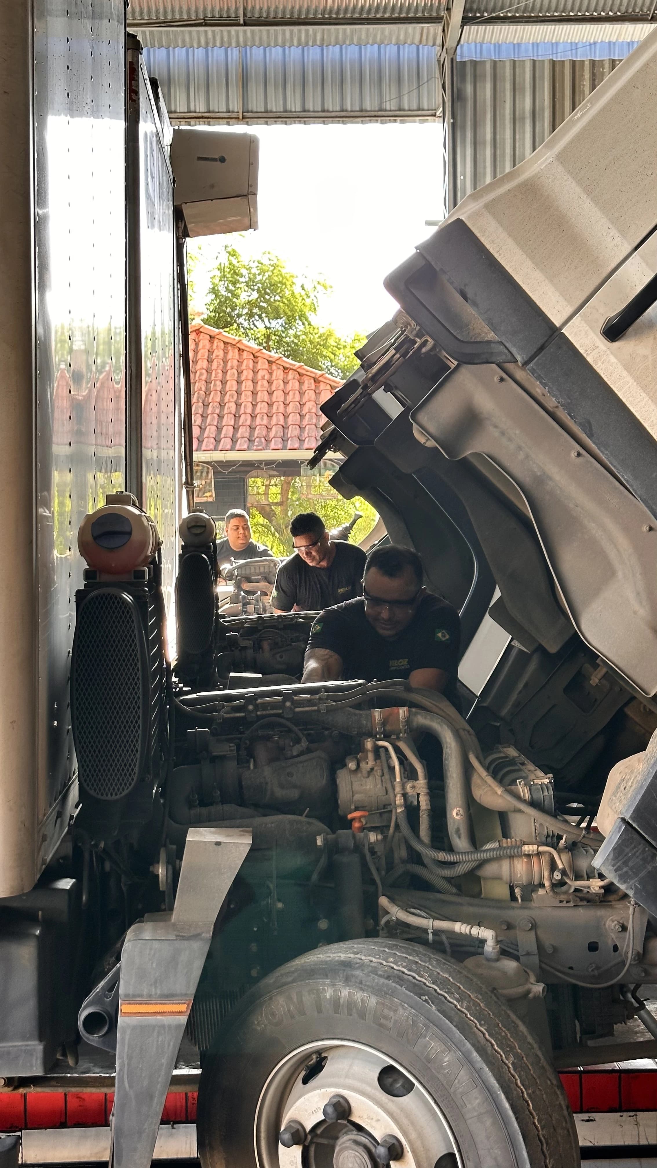 Consultoria e orientação técnica